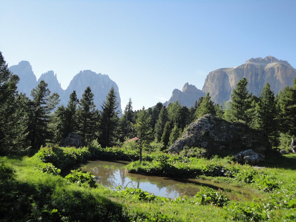 Sella Ronda Apartment Campitello di Fassa Exterior foto
